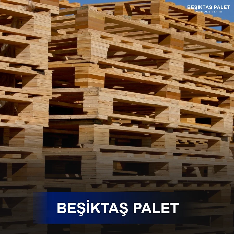 Başakşehir Paletçi