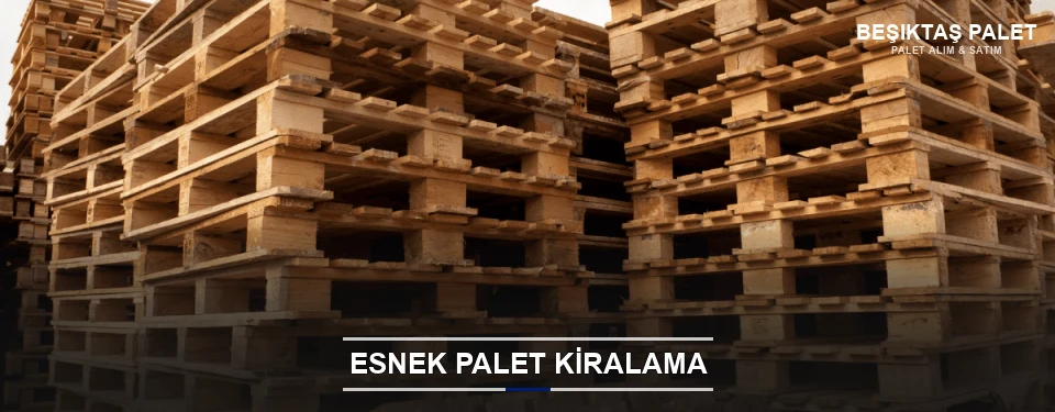 Beşiktaş Uygun Fiyatlı Palet Kiralama